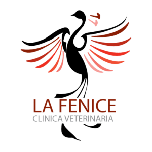 LogoFenice2019500x500
