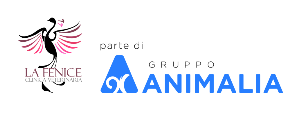 Clinica Veterinaria La Fenice